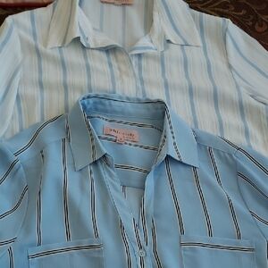 Philosophy Women's Blue and White Striped Button Down Shirts
